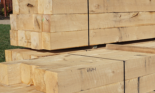 hochstetler timber sales